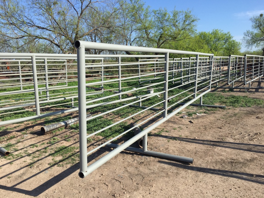 Cattle Panels